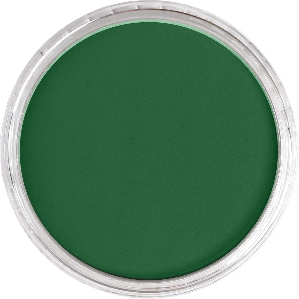 PanPastel 640.1 Permanent Green Extra Dark