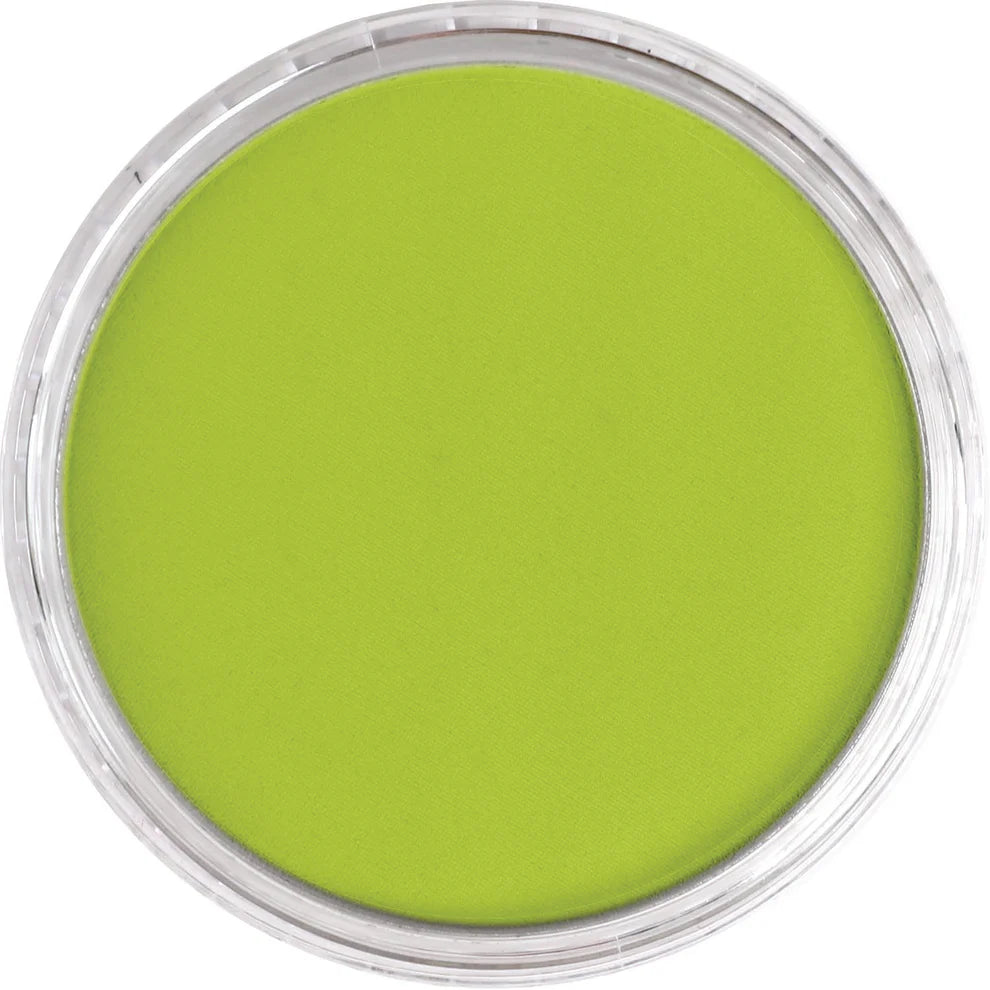 PanPastel 680.5 Bright Yellow Green