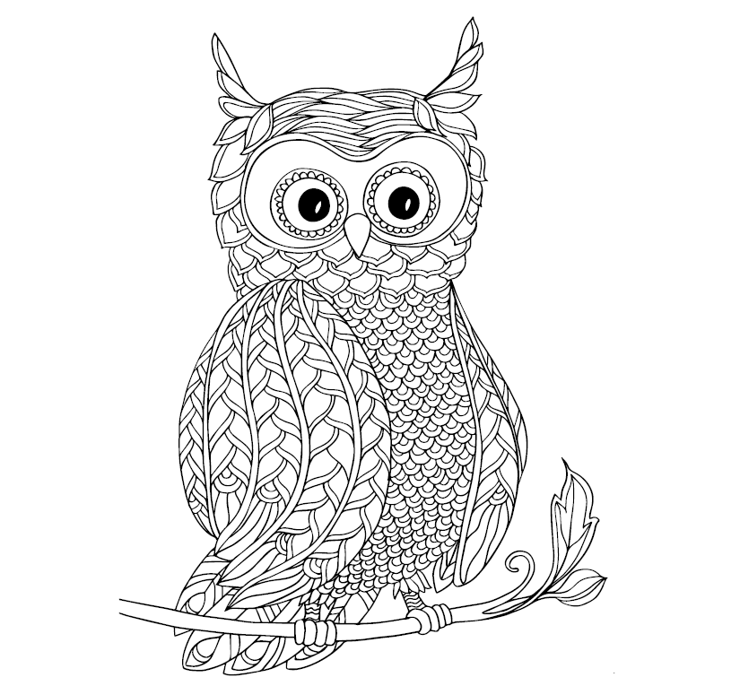 Creative Therapy - Blooms, Birds & Butterflies - Malebog