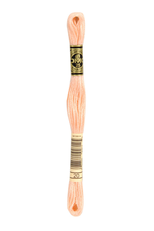 DMC Mouliné Spécial - 20