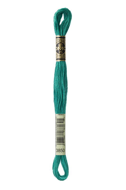 DMC Mouliné Spécial - 3850