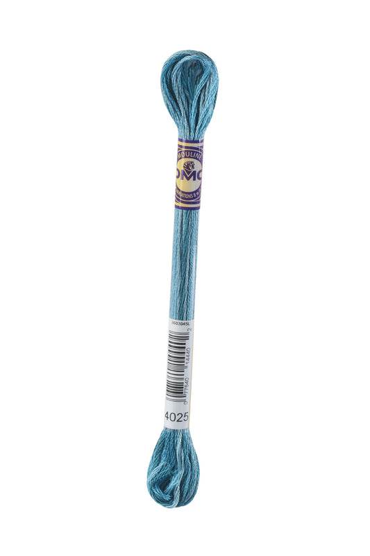 DMC Mouliné Color Variation - 4025