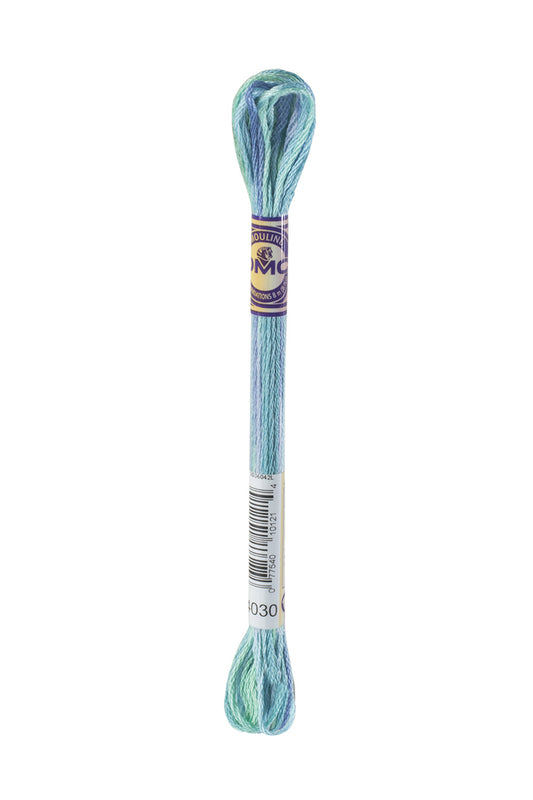 DMC Mouliné Color Variation - 4030