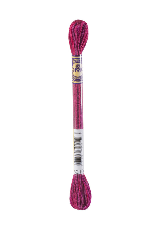 DMC Mouliné Color Variation - 4210