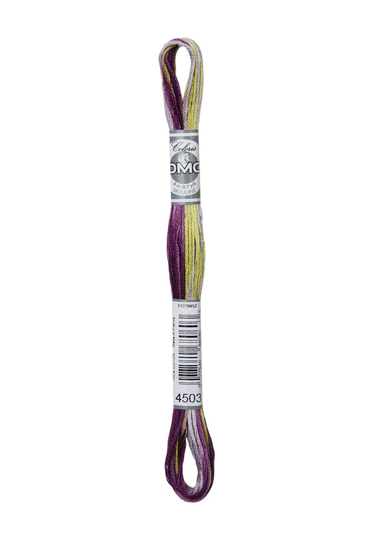 DMC Mouliné Coloris - 4503