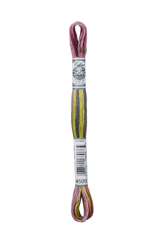 DMC Mouliné Coloris - 4509