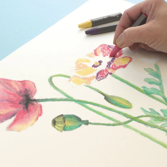 Sizzix Olie pasteller