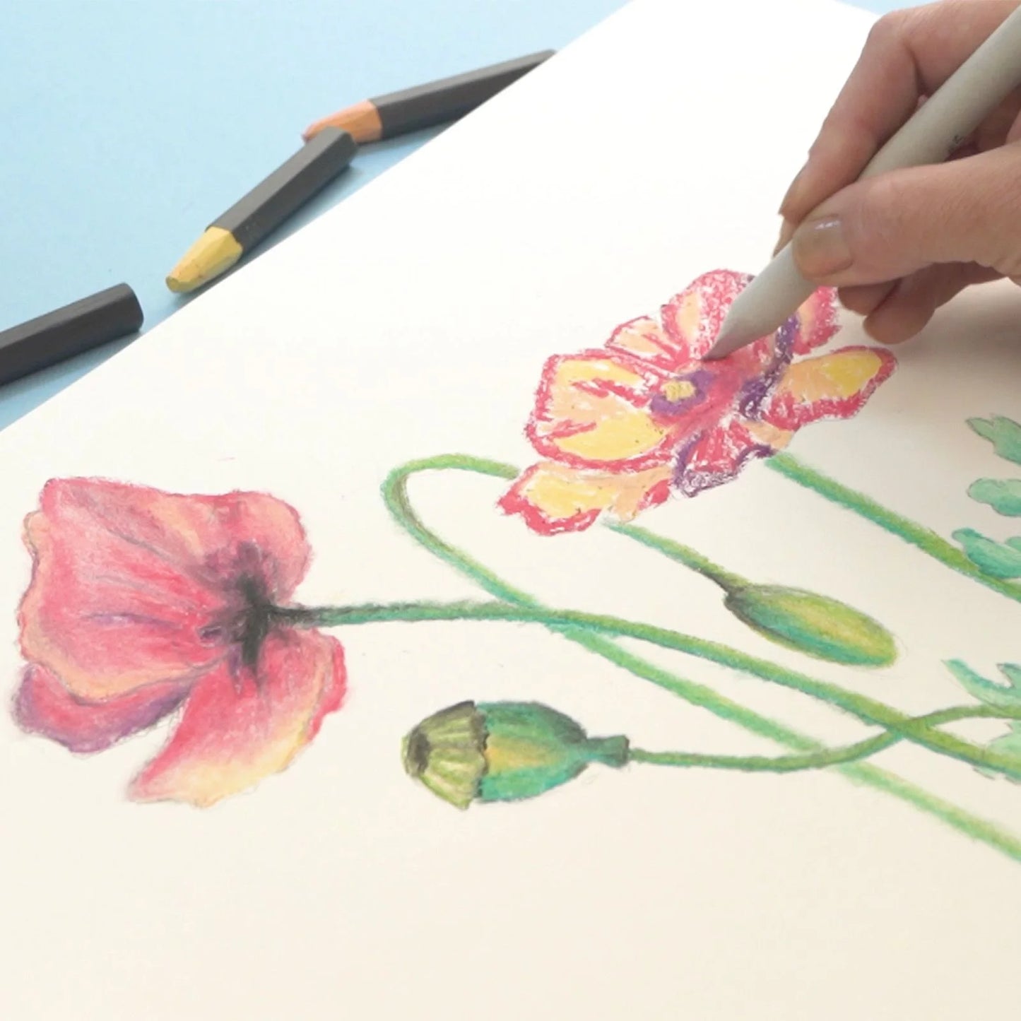 Sizzix Olie pasteller