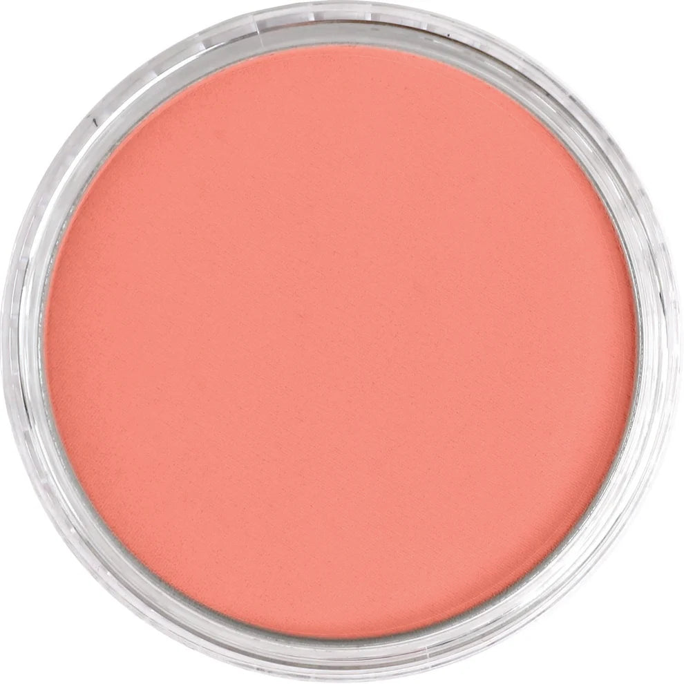 PanPastel 310.6 Vermilion Medium