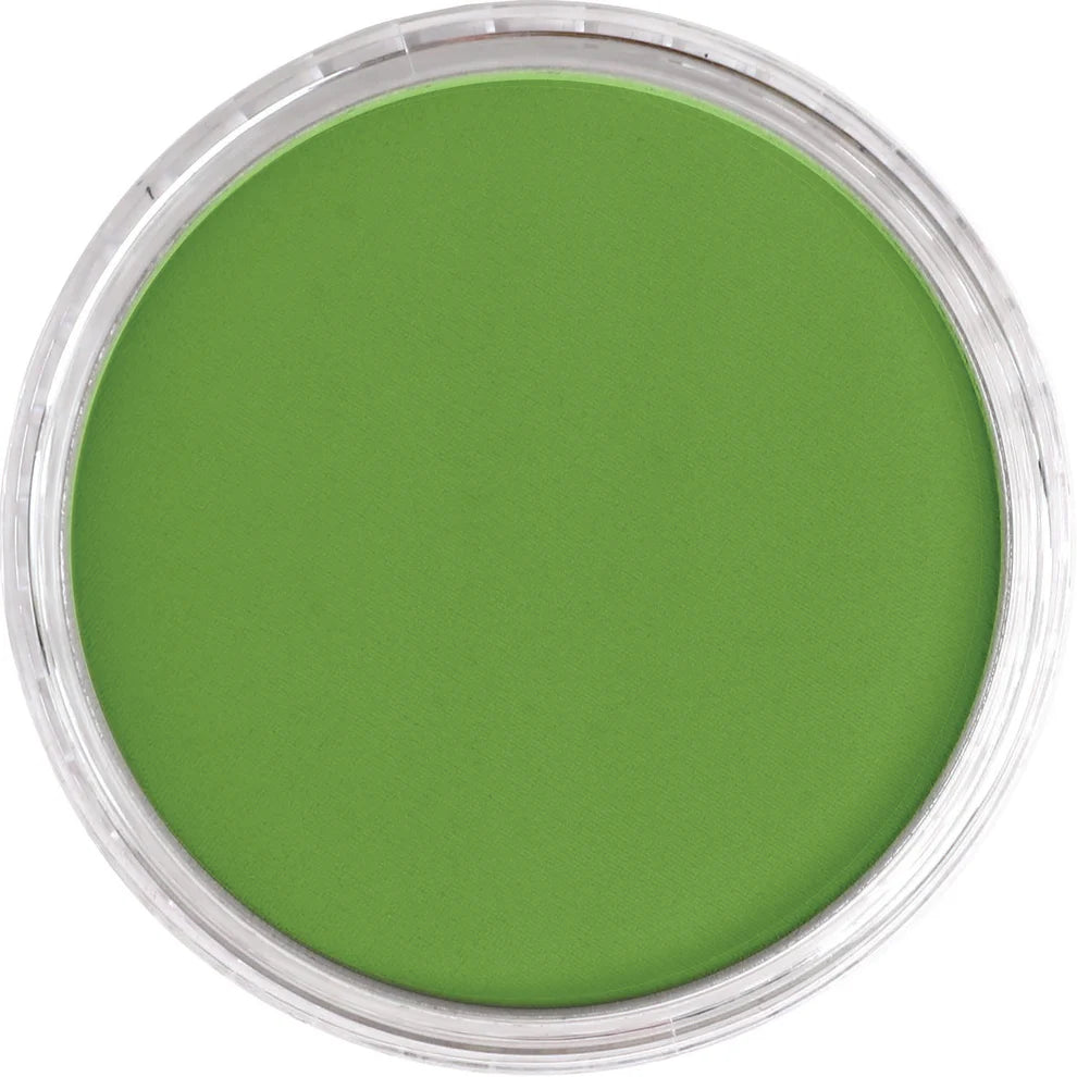 PanPastel 690.3 Yellow Green Shade