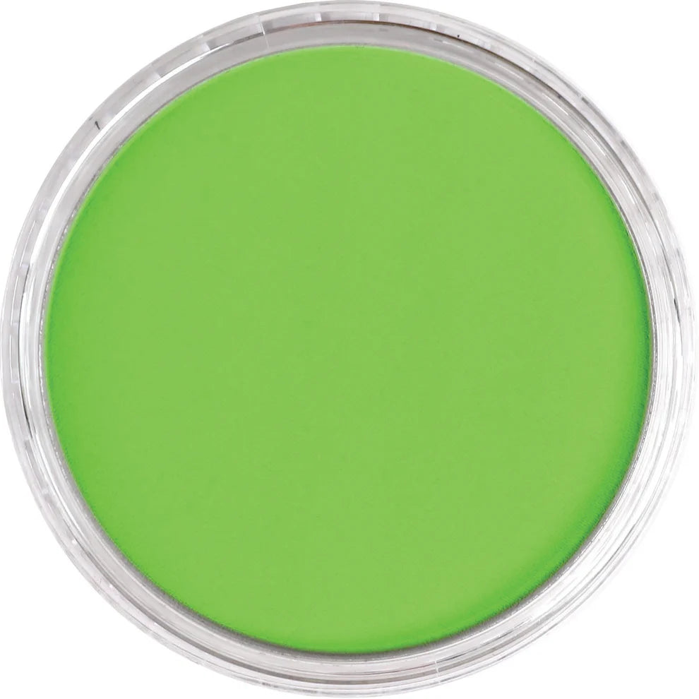PanPastel 690.5 Yellow Green
