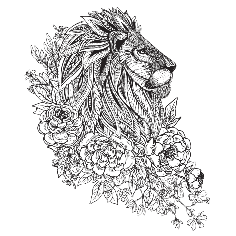 Let's Unfold The Jungle - Malebog