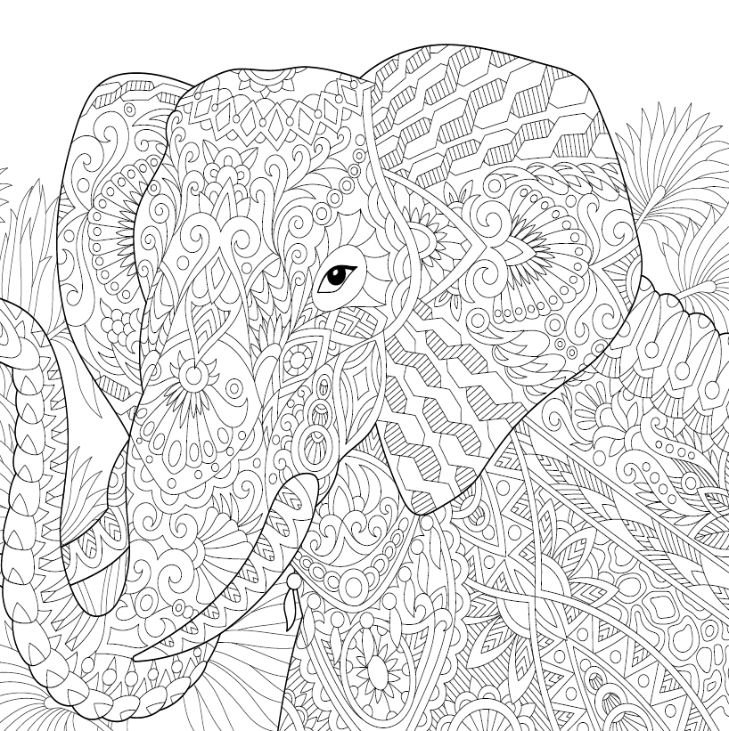 Let's Unfold The Jungle - Malebog